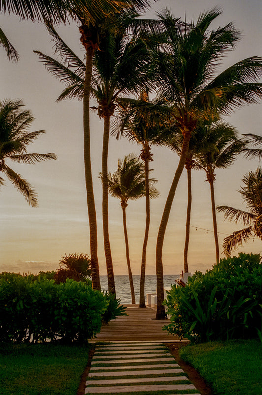 Where the Day Begins